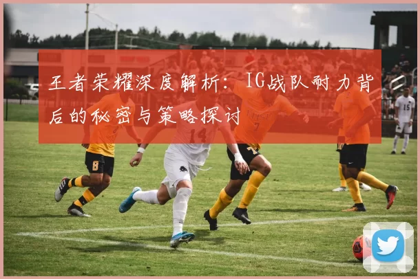 王者荣耀深度解析：IG战队耐力背后的秘密与策略探讨