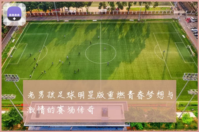 老男孩足球明星版重燃青春梦想与激情的赛场传奇