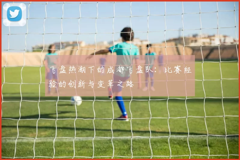 飞盘热潮下的成都飞盘队：比赛经验的创新与变革之路