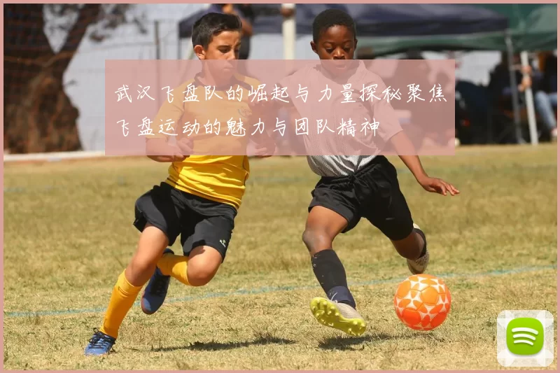 武汉飞盘队的崛起与力量探秘聚焦飞盘运动的魅力与团队精神
