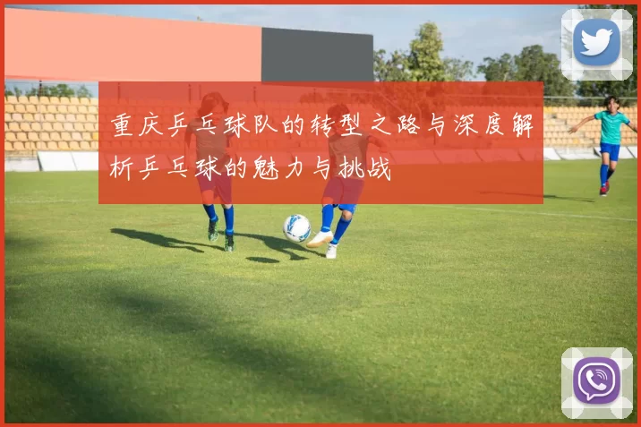 重庆乒乓球队的转型之路与深度解析乒乓球的魅力与挑战