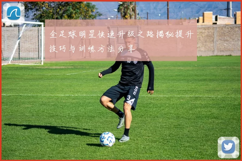 全足球明星快速升级之路揭秘提升技巧与训练方法分享