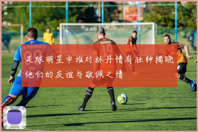 足球明星中谁对林丹情有独钟揭晓他们的友谊与敬佩之情