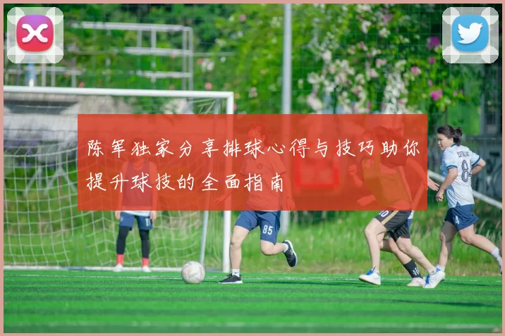 陈军独家分享排球心得与技巧助你提升球技的全面指南
