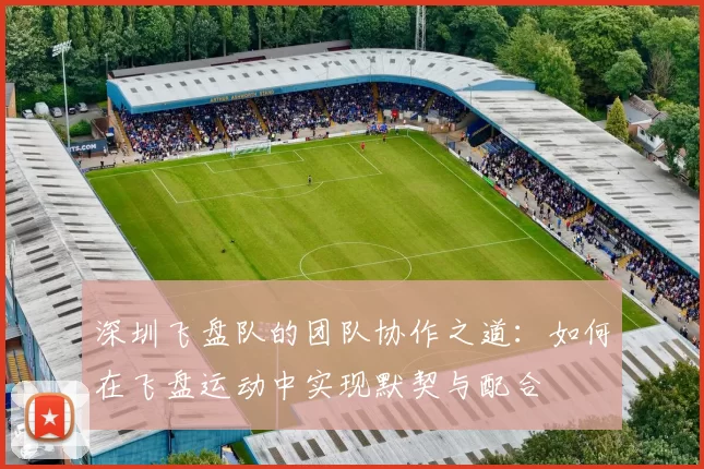 深圳飞盘队的团队协作之道：如何在飞盘运动中实现默契与配合