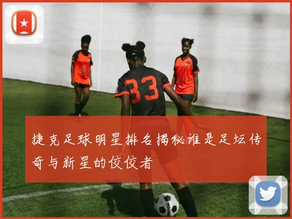 捷克足球明星排名揭秘谁是足坛传奇与新星的佼佼者