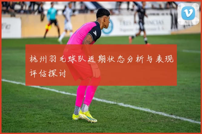 杭州羽毛球队近期状态分析与表现评估探讨