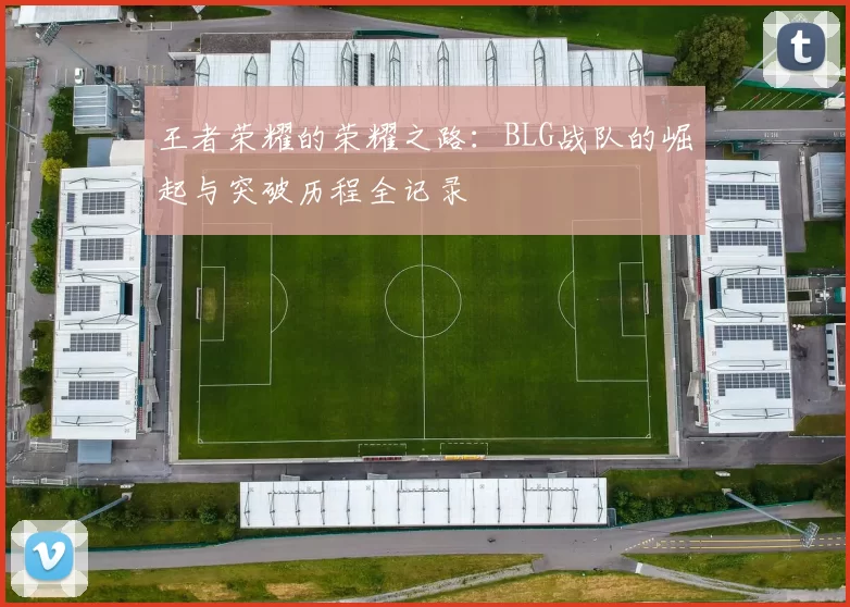 王者荣耀的荣耀之路：BLG战队的崛起与突破历程全记录
